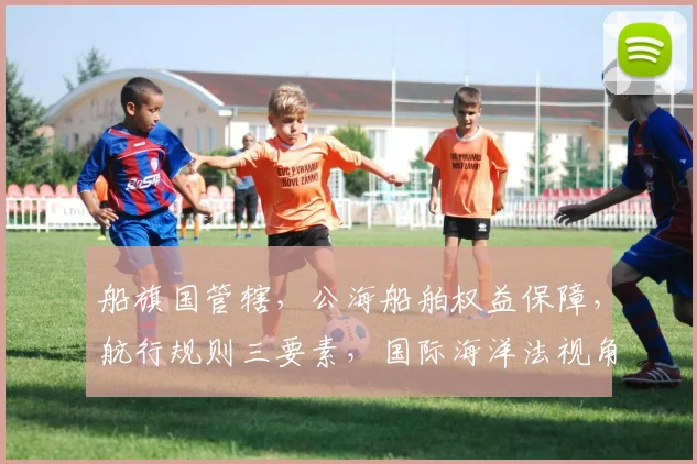 船旗国管辖，公海船舶权益保障，航行规则三要素，国际海洋法视角，三重保障机制