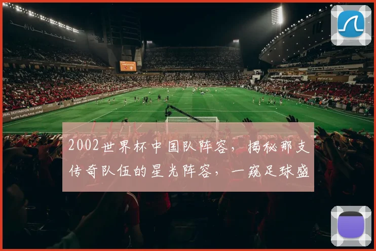 2002世界杯中国队阵容，揭秘那支传奇队伍的星光阵容，一窥足球盛宴