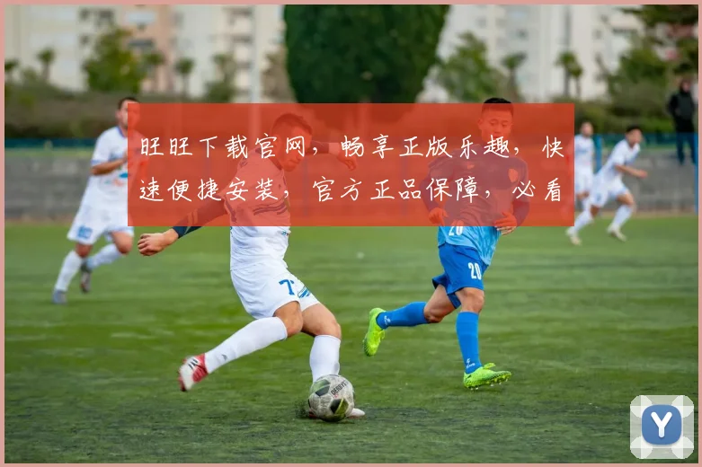 旺旺下载官网，畅享正版乐趣，快速便捷安装，官方正品保障，必看攻略，轻松一步到位