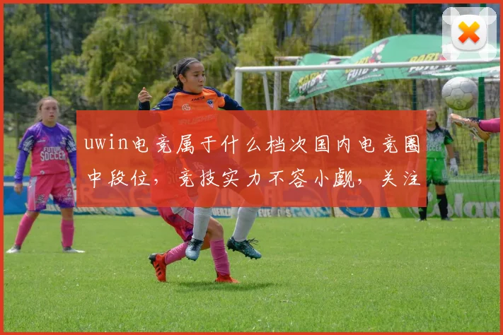 uwin电竞属于什么档次国内电竞圈中段位，竞技实力不容小觑，关注度高。